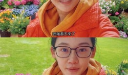 苗苗最新爆料房子租的,揭秘租房背后的故事