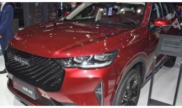 哈佛最新爆料消息今天视频,揭秘今日重大视频事件内幕