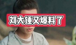 刘大锤最新爆料男团有哪些,最新爆料男团阵容大起底