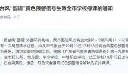 佛山学校爆料事件最新,真相与反思