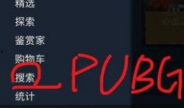 绝地求生最新爆料代码,神秘代码揭示未来游戏新玩法与更新内容