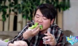 奇葩最新爆料视频大全集,视频大全集精彩瞬间回顾