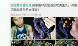 小宇哥最新八卦爆料,娱乐圈最新劲爆八卦大揭秘！