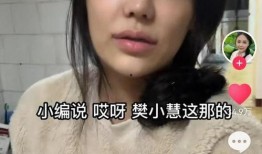 樊小慧视频爆料最新,揭秘娱乐圈惊人内幕