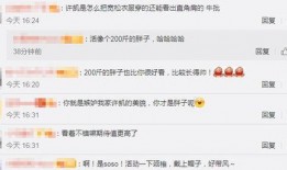 英凯最新爆料消息视频大全,揭秘娱乐圈幕后真相